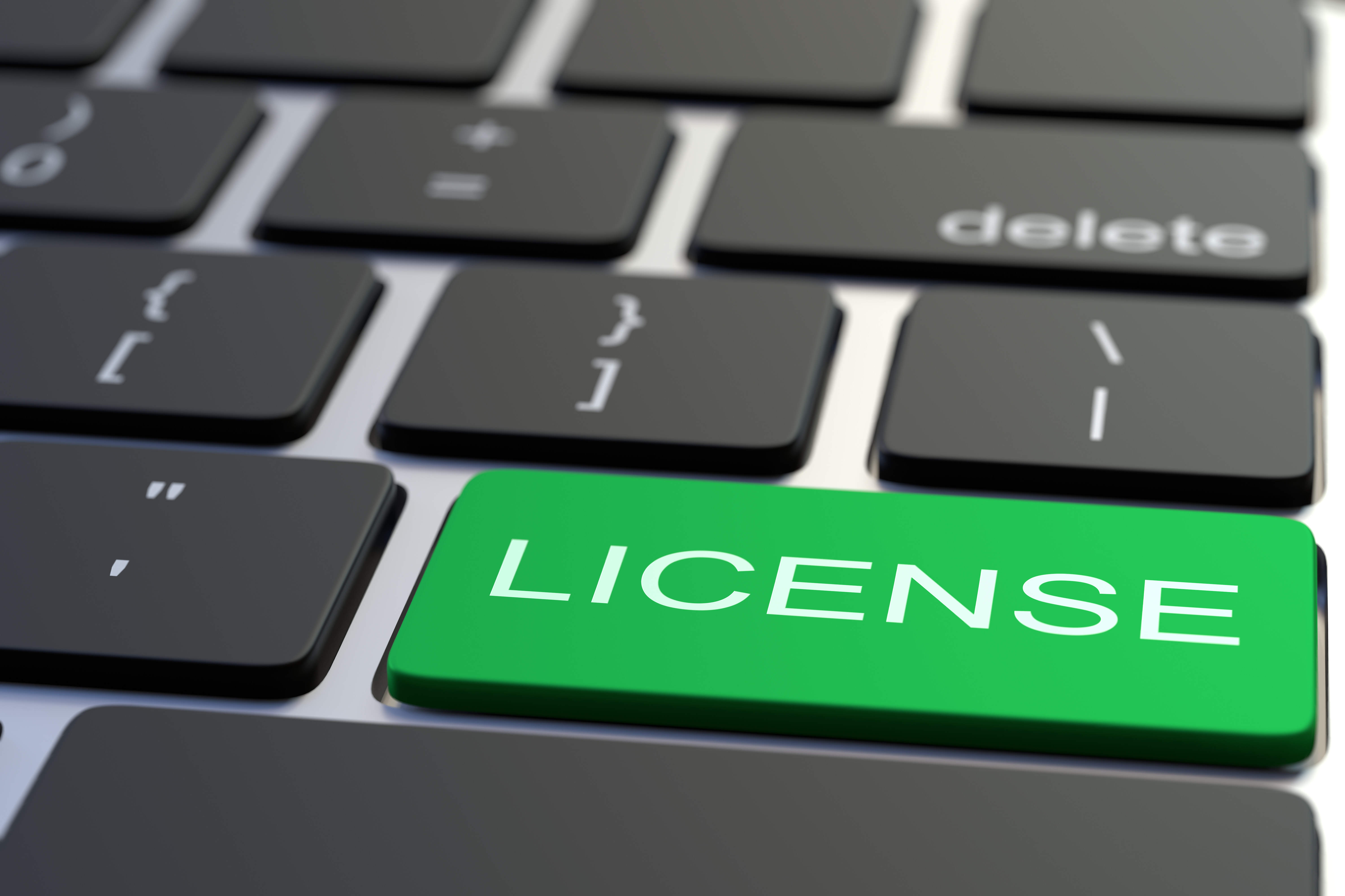 License License